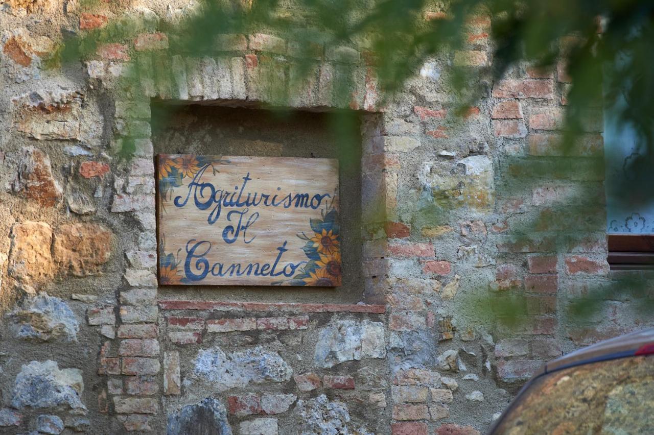 Agriturismo Il Canneto Casole dʼElsa Dış mekan fotoğraf