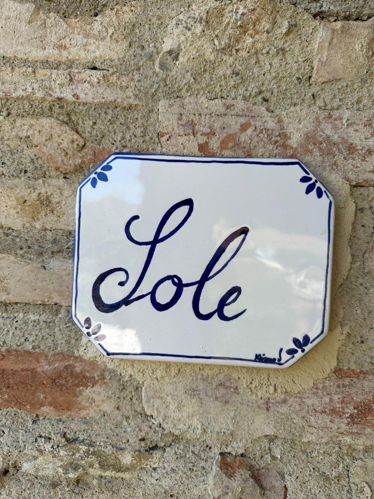 Agriturismo Il Canneto Casole dʼElsa Dış mekan fotoğraf