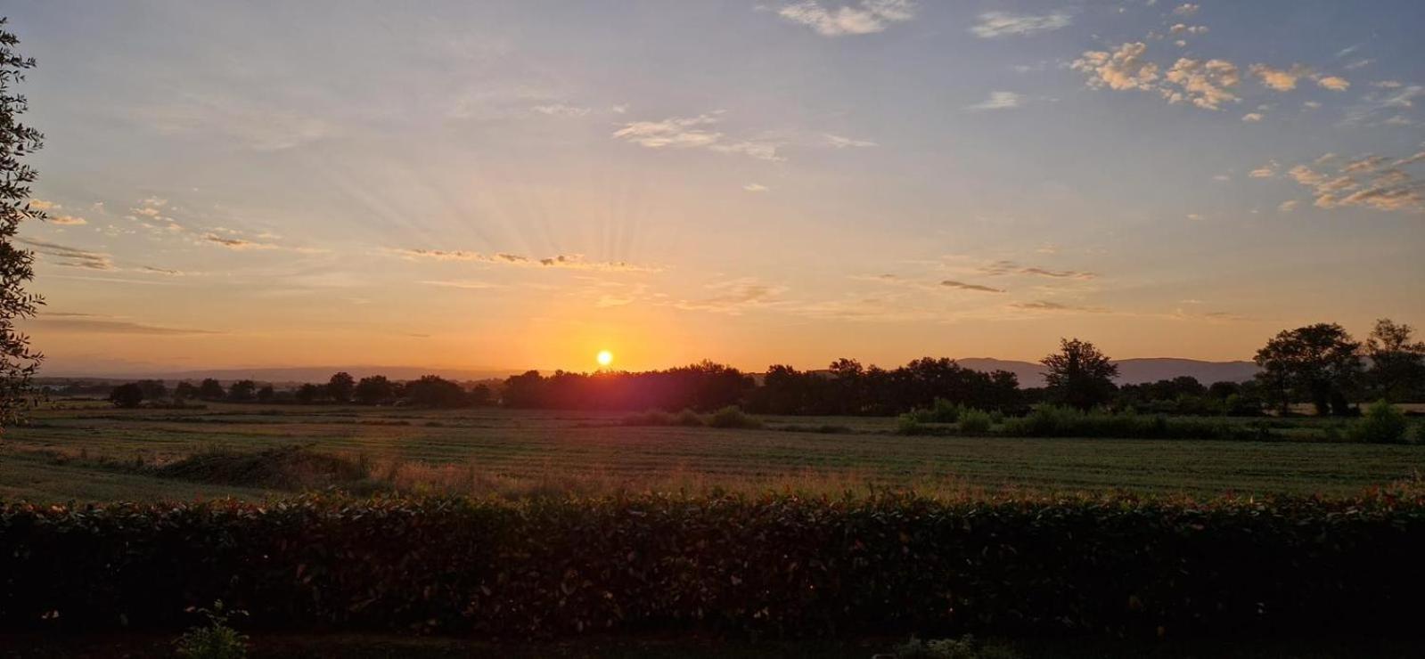Agriturismo Il Canneto Casole dʼElsa Dış mekan fotoğraf