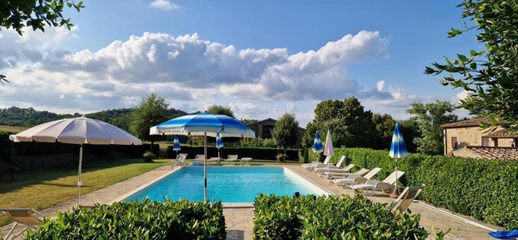 Agriturismo Il Canneto Casole dʼElsa Dış mekan fotoğraf