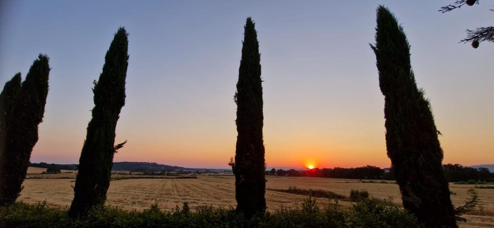 Agriturismo Il Canneto Casole dʼElsa Dış mekan fotoğraf
